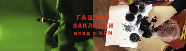 индика Алзамай