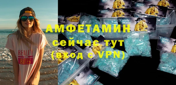 индика Алзамай