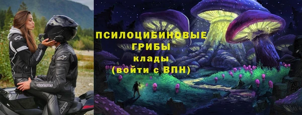 индика Алзамай
